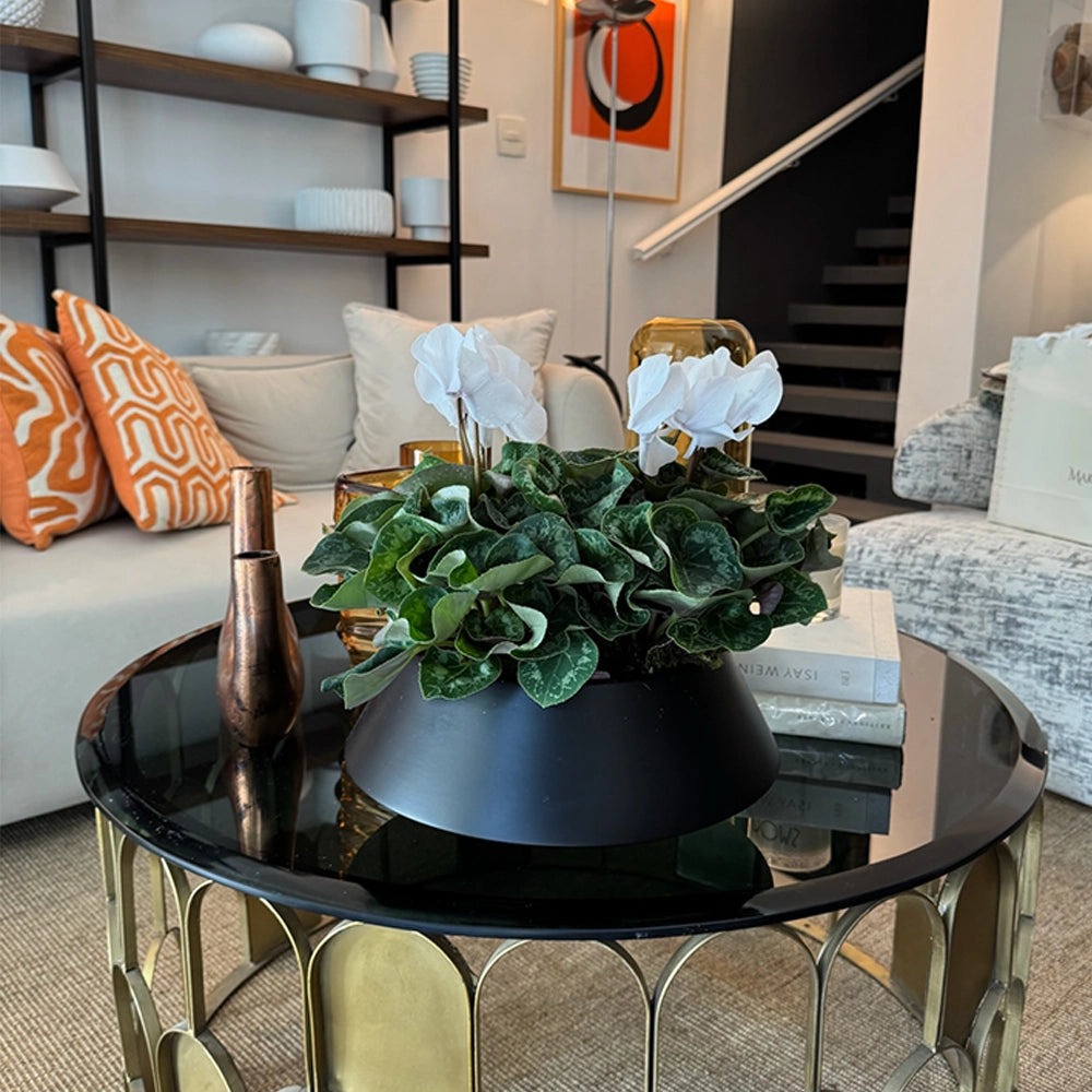 Vaso Toulouse