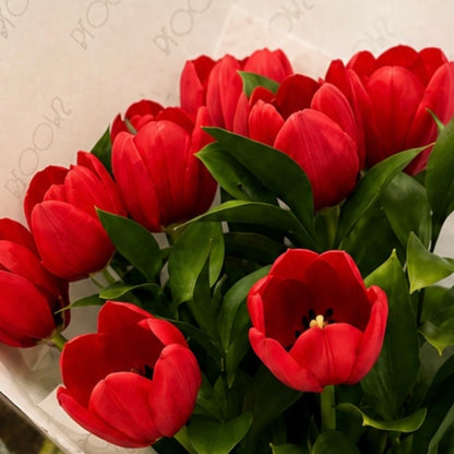 Buquê Velvet Tulips Rouge