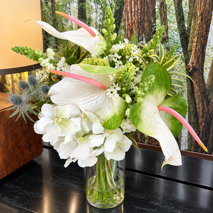 Arranjo Sasha