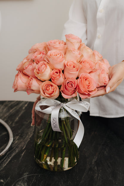 ASSINATURA MENSAL BASIC