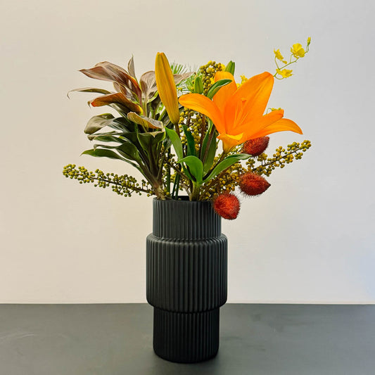 Vaso Noir Modular